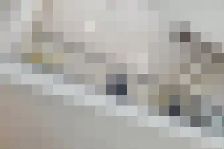 IJsvogelstraat 9 Dongen thumbnail 15