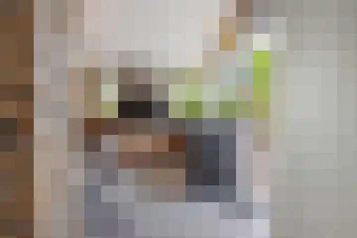 IJsvogelstraat 9 Dongen thumbnail 16