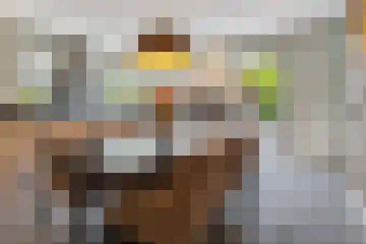 IJsvogelstraat 9 Dongen thumbnail 18