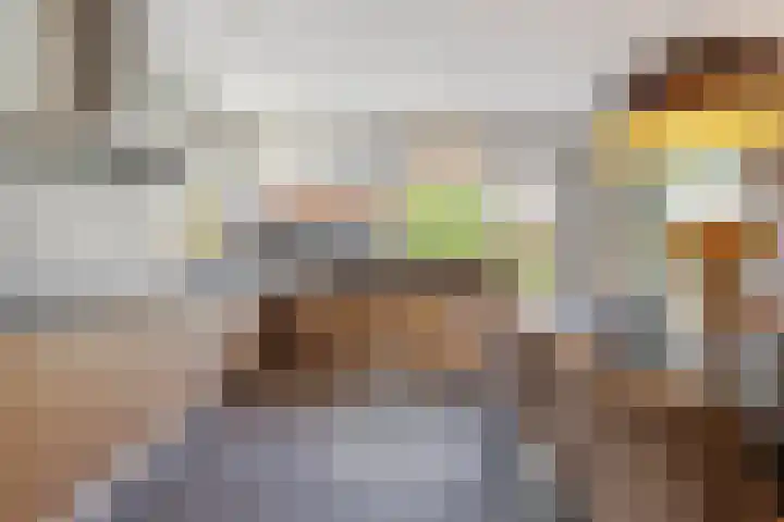 IJsvogelstraat 9 Dongen thumbnail 21
