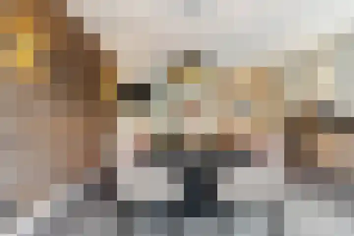 IJsvogelstraat 9 Dongen thumbnail 23