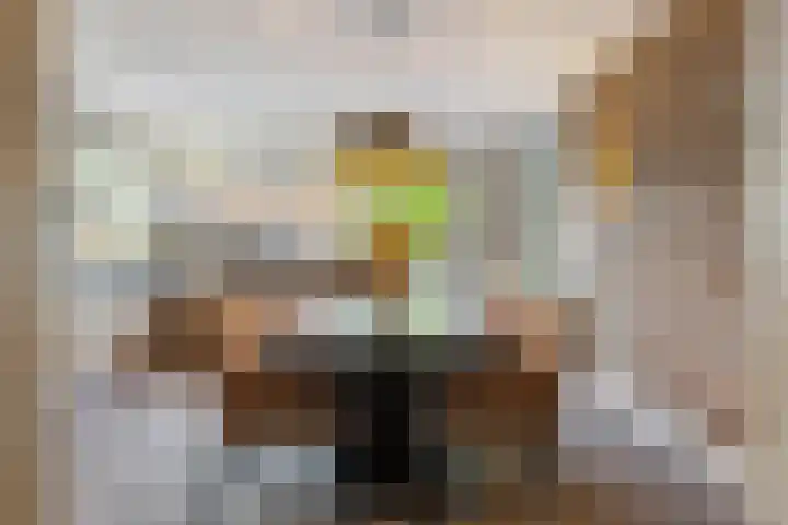 IJsvogelstraat 9 Dongen thumbnail 24