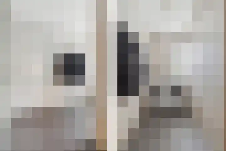 IJsvogelstraat 9 Dongen thumbnail 25