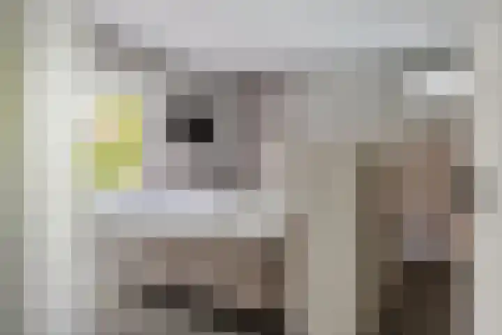 IJsvogelstraat 9 Dongen thumbnail 26
