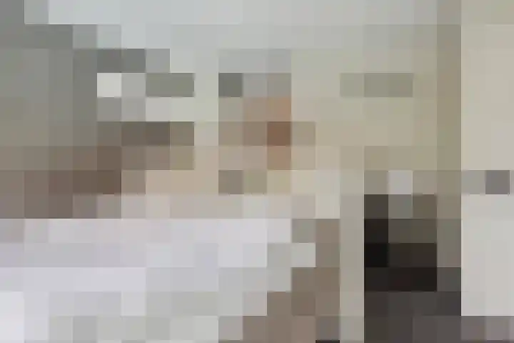 IJsvogelstraat 9 Dongen thumbnail 28