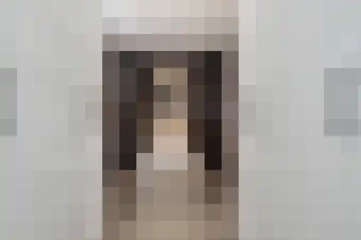 IJsvogelstraat 9 Dongen thumbnail 30