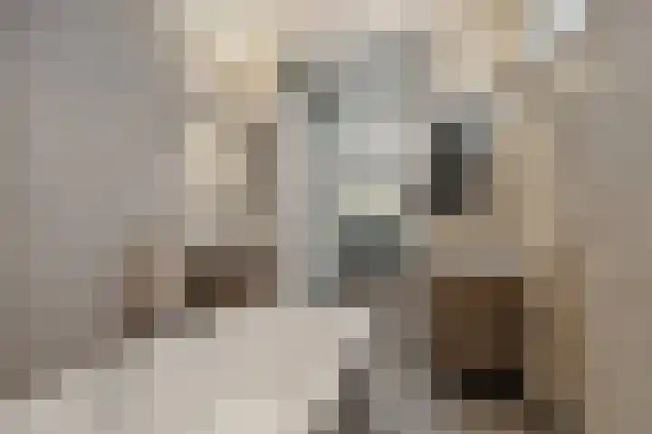 IJsvogelstraat 9 Dongen thumbnail 31