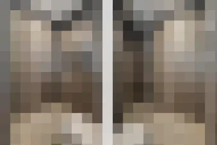IJsvogelstraat 9 Dongen thumbnail 32