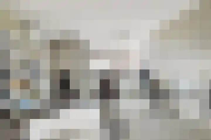 IJsvogelstraat 9 Dongen thumbnail 36