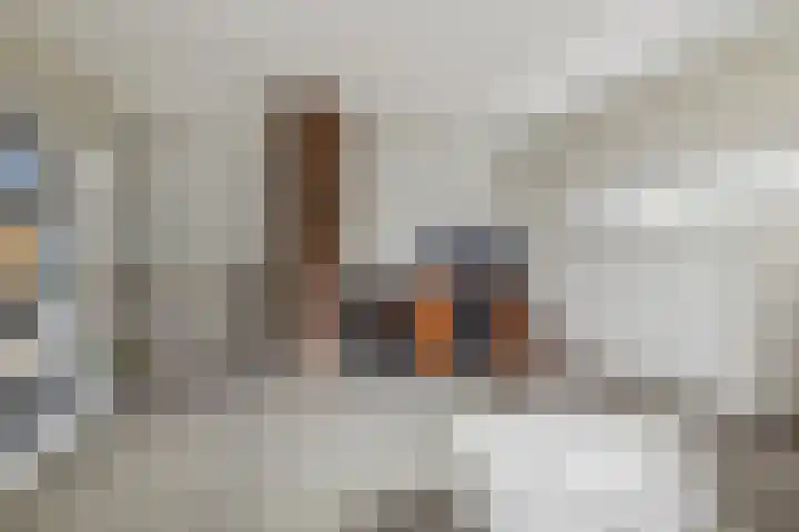 IJsvogelstraat 9 Dongen thumbnail 37