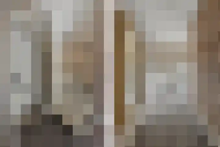 IJsvogelstraat 9 Dongen thumbnail 4