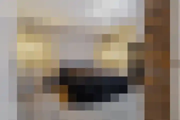 IJsvogelstraat 9 Dongen thumbnail 40