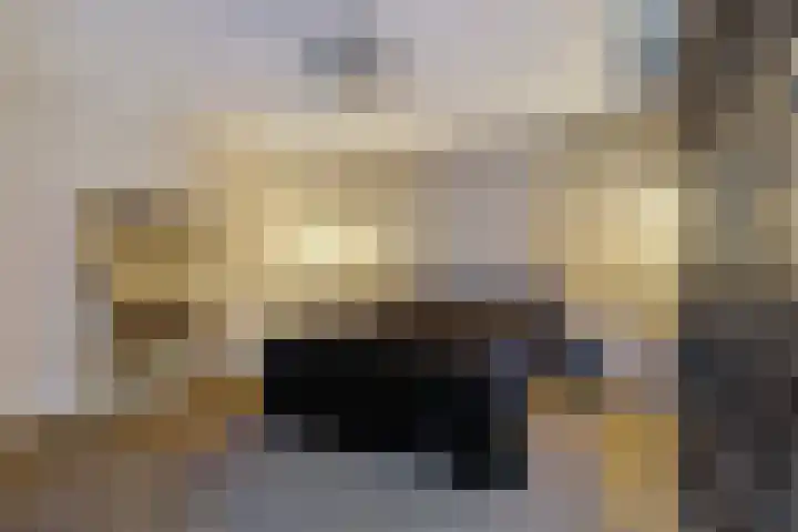 IJsvogelstraat 9 Dongen thumbnail 41