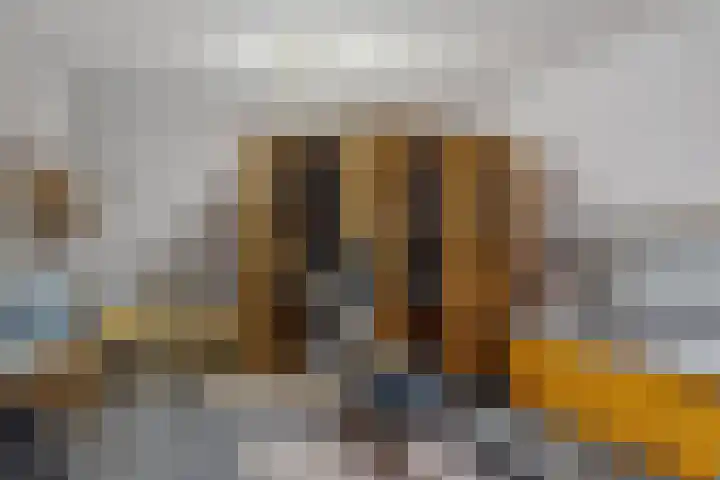 IJsvogelstraat 9 Dongen thumbnail 47