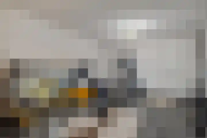 IJsvogelstraat 9 Dongen thumbnail 48