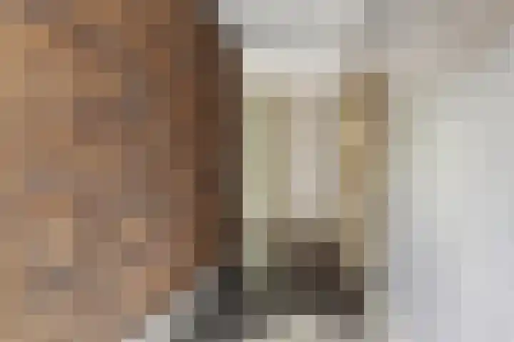 IJsvogelstraat 9 Dongen thumbnail 5