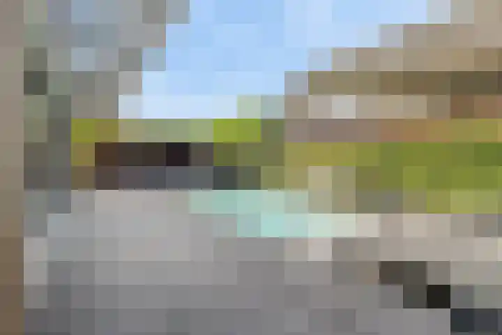 IJsvogelstraat 9 Dongen thumbnail 53