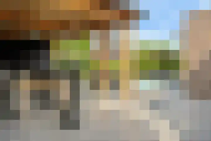 IJsvogelstraat 9 Dongen thumbnail 56
