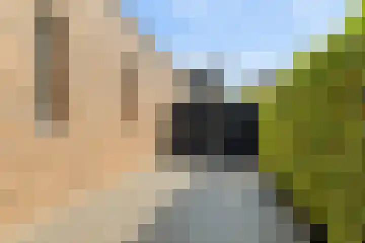 IJsvogelstraat 9 Dongen thumbnail 57