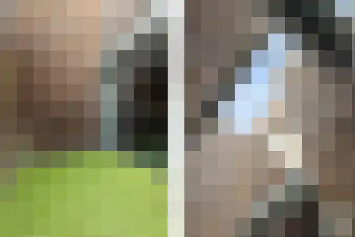 IJsvogelstraat 9 Dongen thumbnail 58
