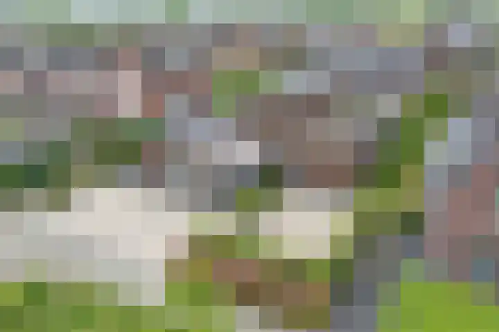 IJsvogelstraat 9 Dongen thumbnail 59