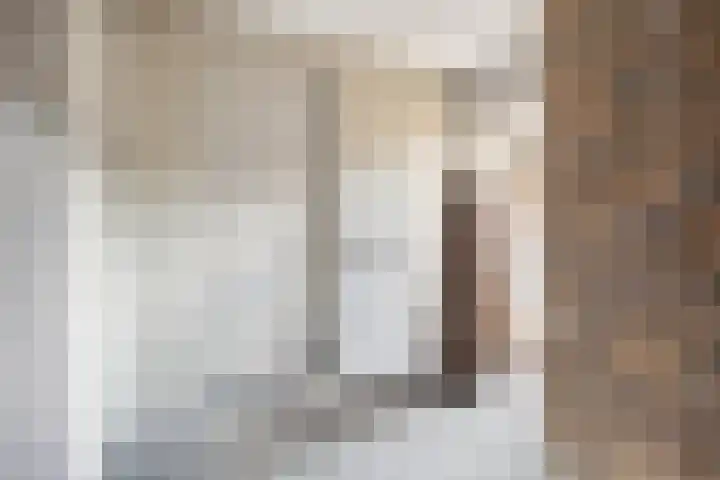 IJsvogelstraat 9 Dongen thumbnail 6