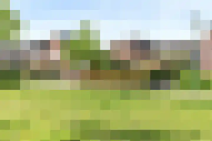 IJsvogelstraat 9 Dongen thumbnail 61