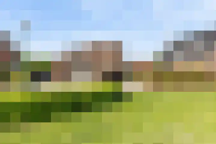 IJsvogelstraat 9 Dongen thumbnail 63