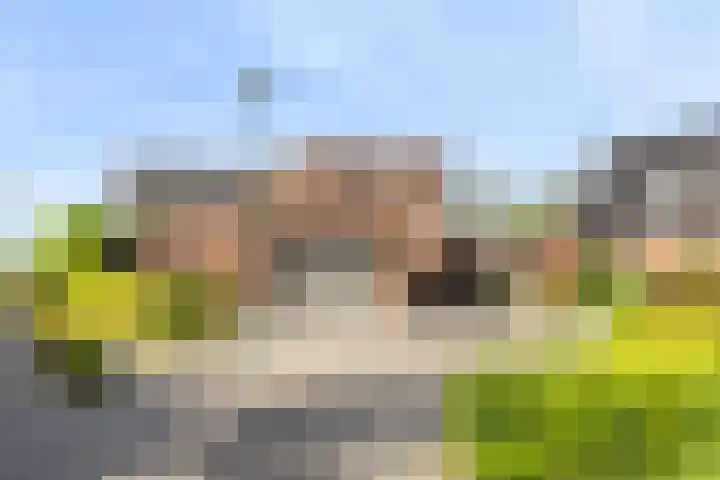 IJsvogelstraat 9 Dongen thumbnail 64