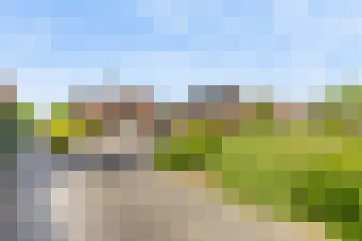 IJsvogelstraat 9 Dongen thumbnail 66