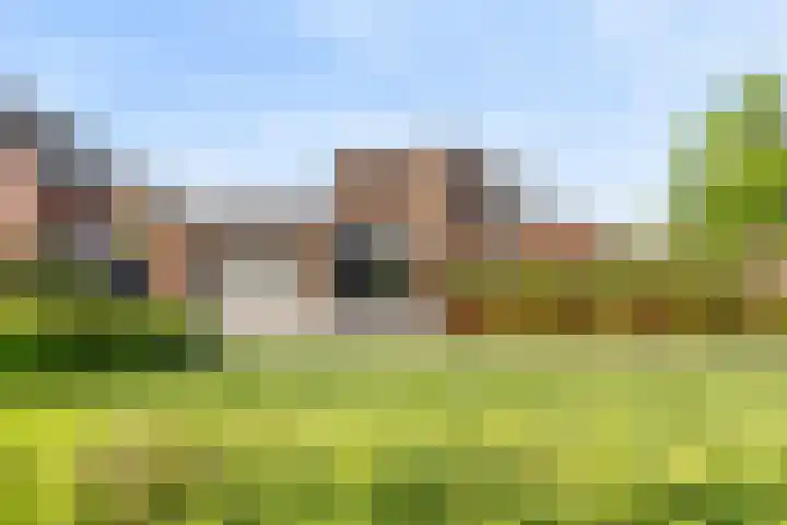 IJsvogelstraat 9 Dongen thumbnail 68