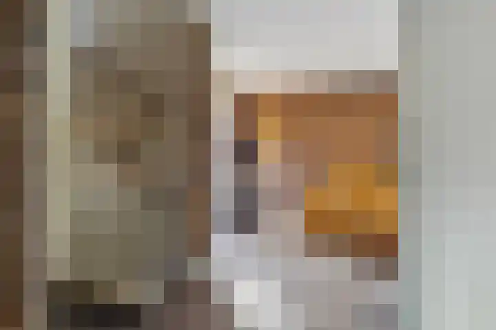IJsvogelstraat 9 Dongen thumbnail 7