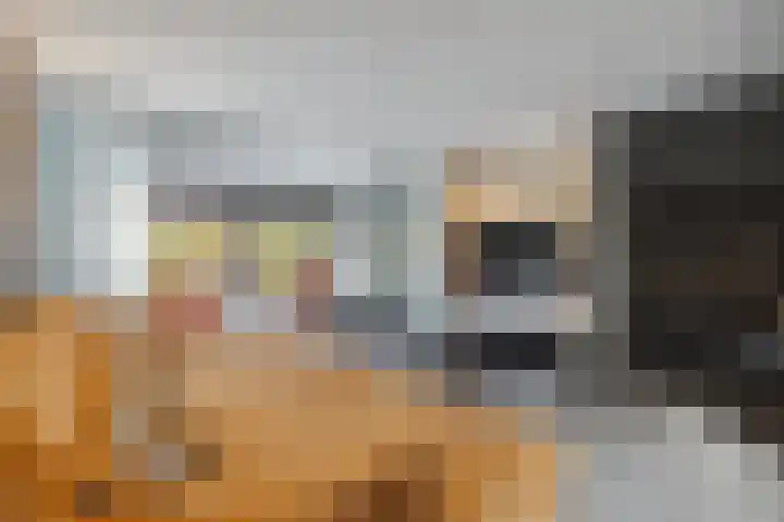 IJsvogelstraat 9 Dongen thumbnail 8