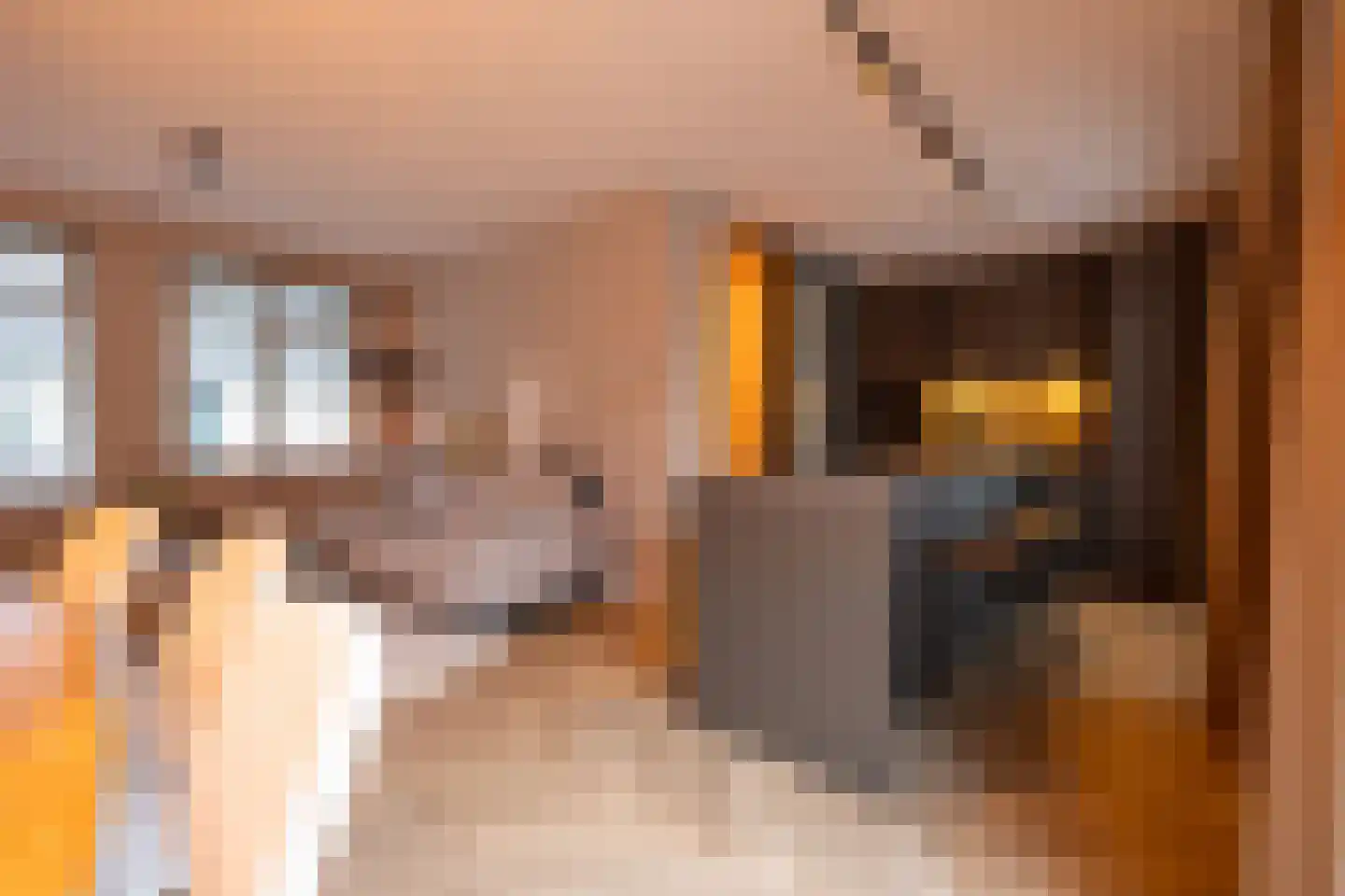 IJsvogelstraat 9 Schoonhoven thumbnail 13