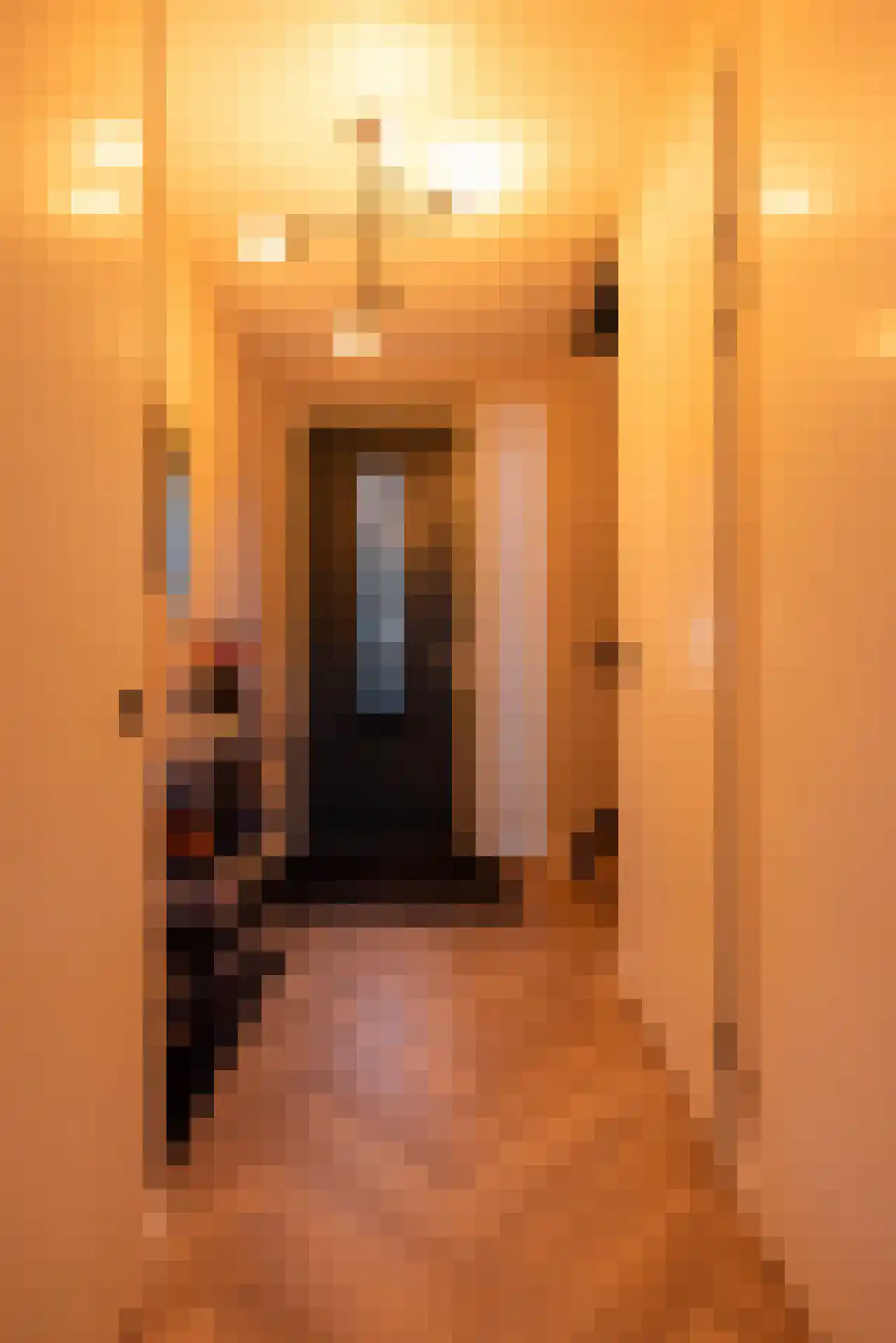 IJsvogelstraat 9 Schoonhoven thumbnail 19