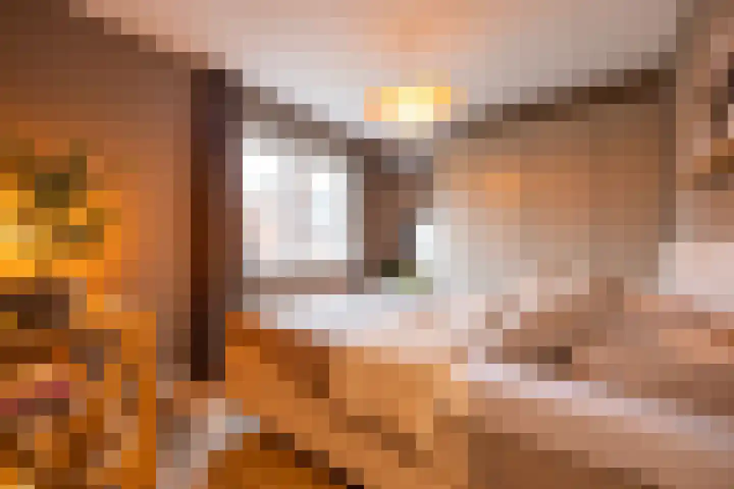 IJsvogelstraat 9 Schoonhoven thumbnail 22
