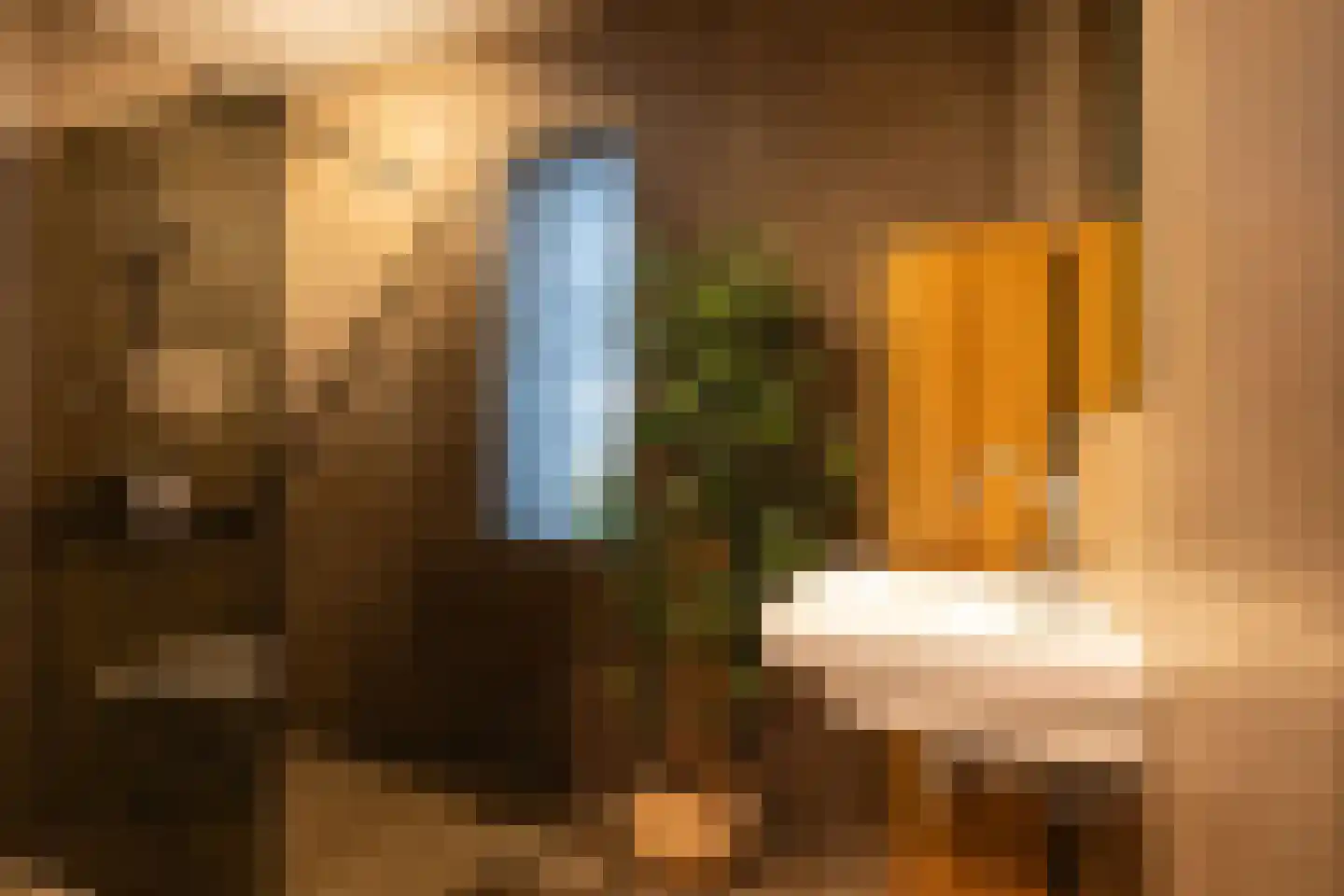 IJsvogelstraat 9 Schoonhoven thumbnail 31