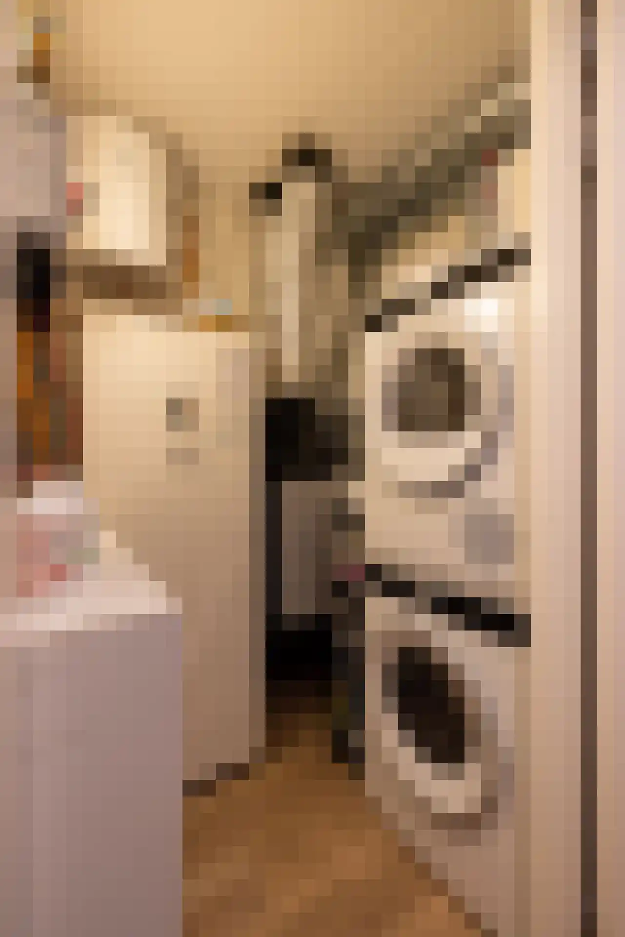 IJsvogelstraat 9 Schoonhoven thumbnail 32