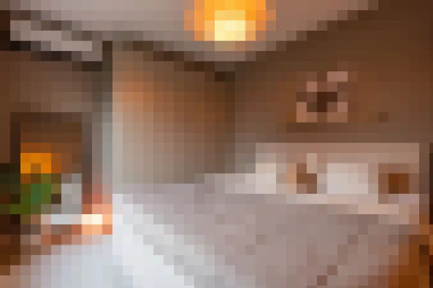 IJsvogelstraat 9 Schoonhoven thumbnail 5