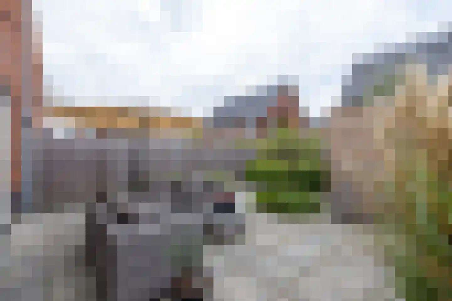 IJsvogelstraat 9 Schoonhoven thumbnail 6