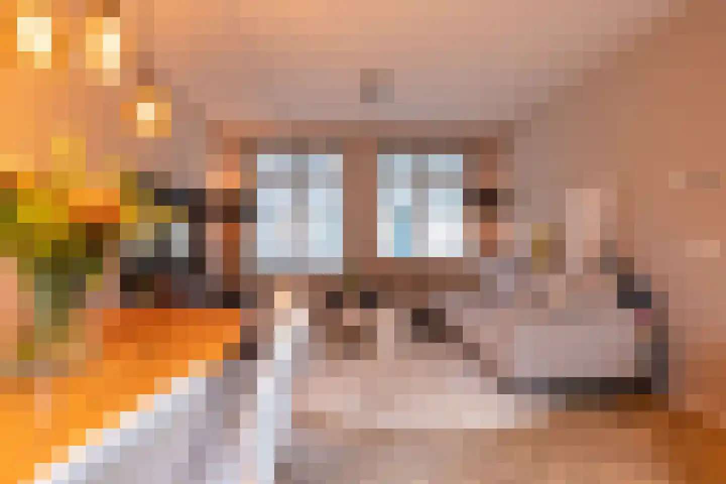IJsvogelstraat 9 Schoonhoven thumbnail 7