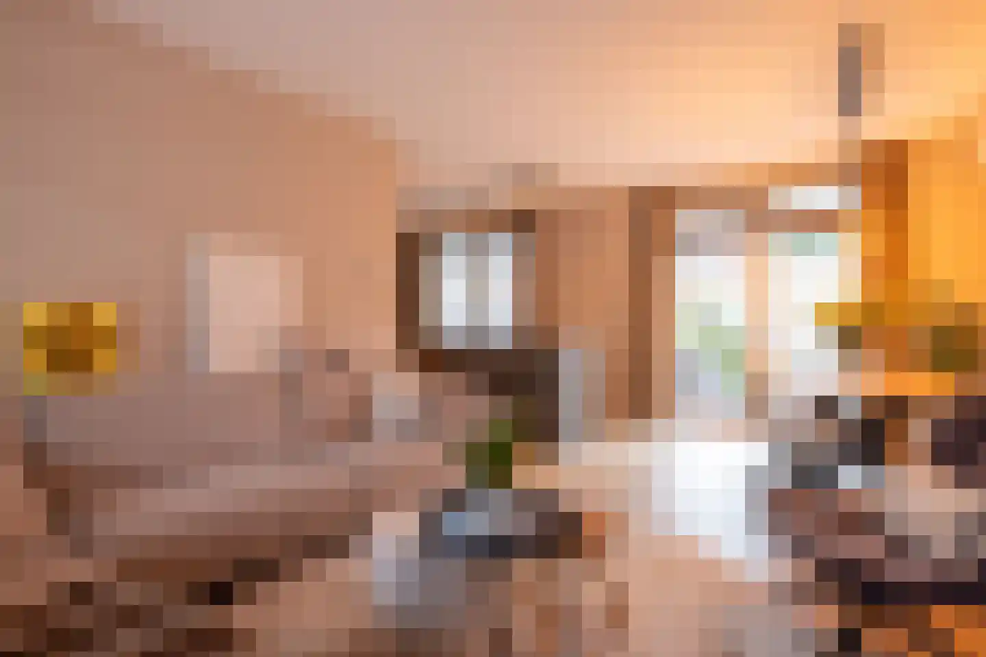 IJsvogelstraat 9 Schoonhoven thumbnail 8