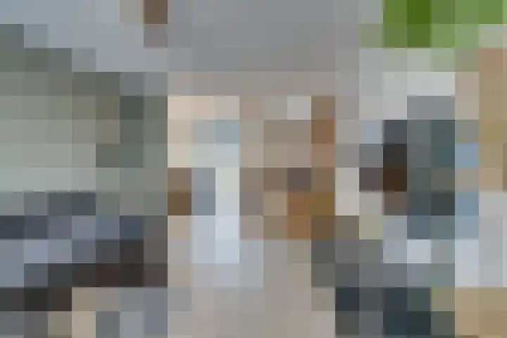IJsvogelstraat 9 Westzaan thumbnail 10