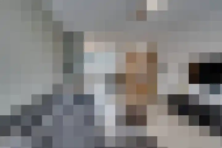 IJsvogelstraat 9 Westzaan thumbnail 12