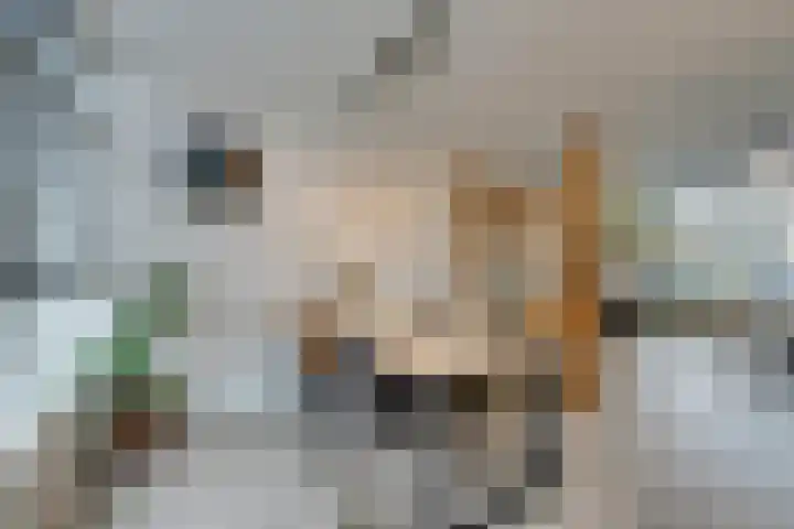 IJsvogelstraat 9 Westzaan thumbnail 17