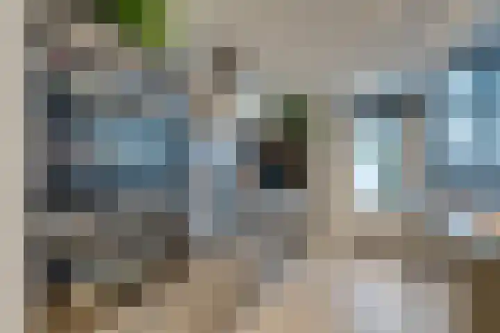 IJsvogelstraat 9 Westzaan thumbnail 22