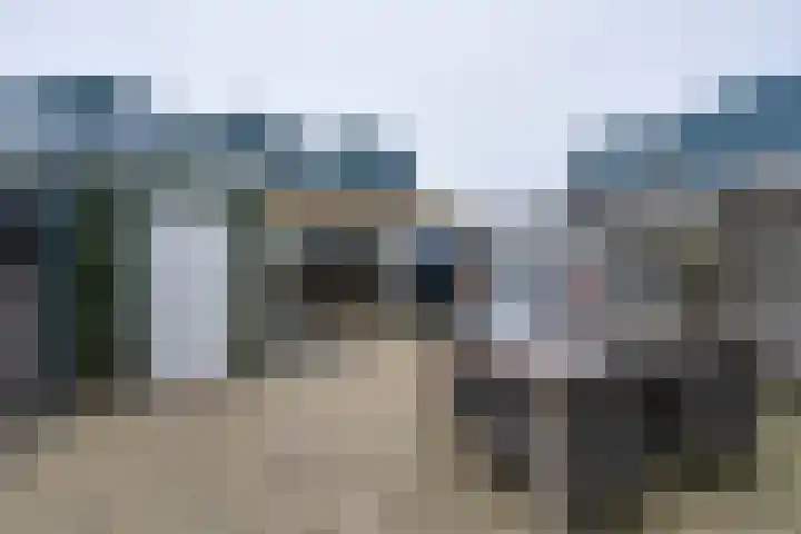 IJsvogelstraat 9 Westzaan thumbnail 27