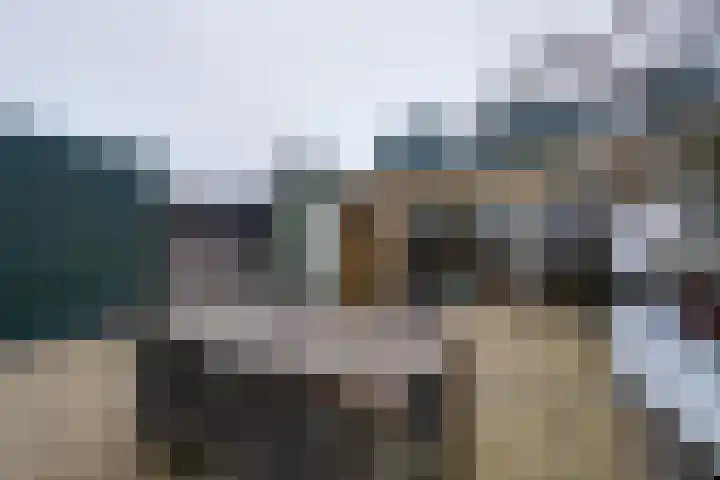IJsvogelstraat 9 Westzaan thumbnail 28