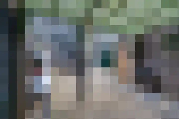 IJsvogelstraat 9 Westzaan thumbnail 31