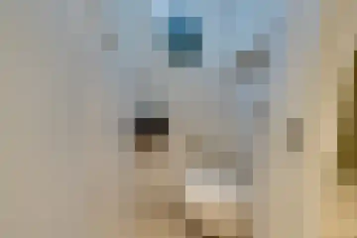 IJsvogelstraat 9 Westzaan thumbnail 33